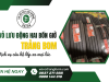 Vá vỏ lưu động hai bốn giờ Trảng Bom - Dịch vụ cứu hộ lốp xe mọi lúc